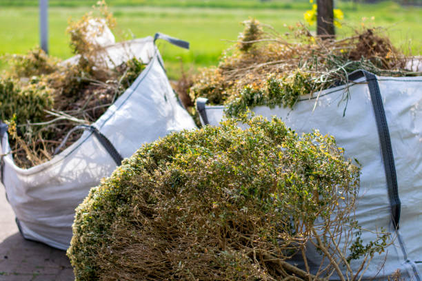 Best Estate Cleanout Services  in Wilson, AR